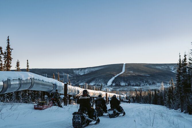 1 Hour Snowmobile Adventure in Boreal Forest - Key Highlights That Matter