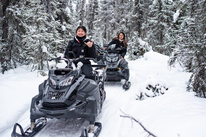 1 Hour Snowmobile Adventure in Boreal Forest - Animal Tracks, Wildlife Odds, and How Guides Read Winter Clues