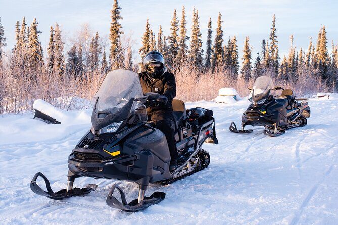 1 Hour Snowmobile Adventure in Boreal Forest - UTV vs Snowmobile: The Weather Reality You Have to Plan For