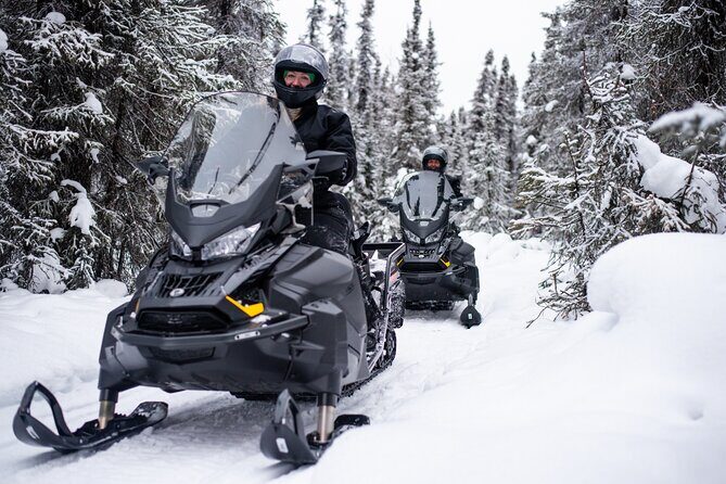 1 Hour Snowmobile Adventure in Boreal Forest - Who Can Ride: Ages, Licenses, and How the Tour Handles Passengers