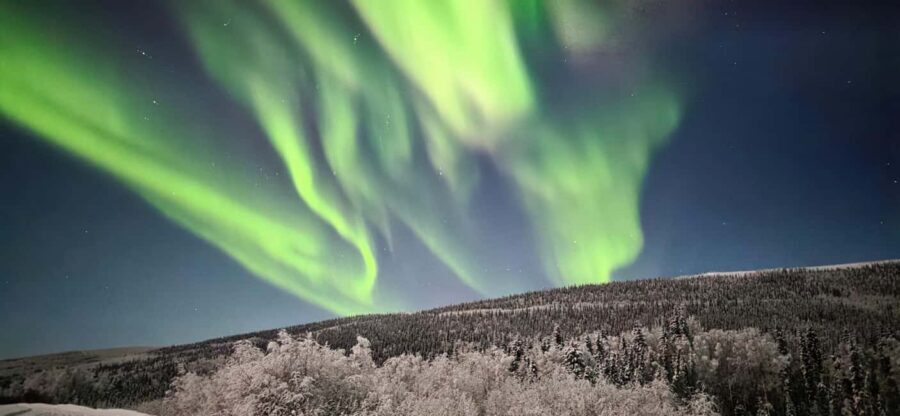 Alaska: Private Northern Lights Viewing Tour - Chasing the aurora from Fairbanks at a smarter pace