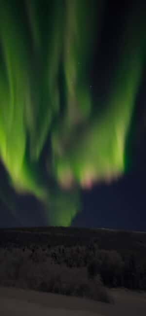 Alaska: Private Northern Lights Viewing Tour - Pickup at night: what the start time really means