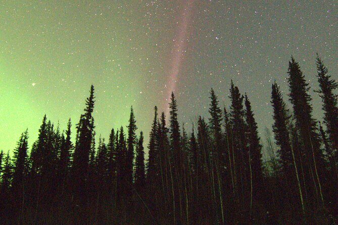Chena Hot Springs Northern Lights Aurora Borealis From Fairbanks - Who this Chena + aurora tour is best for