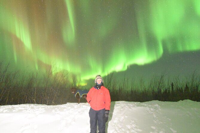 Chena Hot Springs Northern Lights Aurora Borealis From Fairbanks - Ice Museum and Ice Bar: more than a photo stop