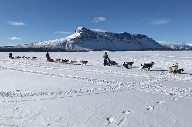 Dogsledding in the Heart of Alaska - The halfway break: pictures, a short snack, and the dogs reset