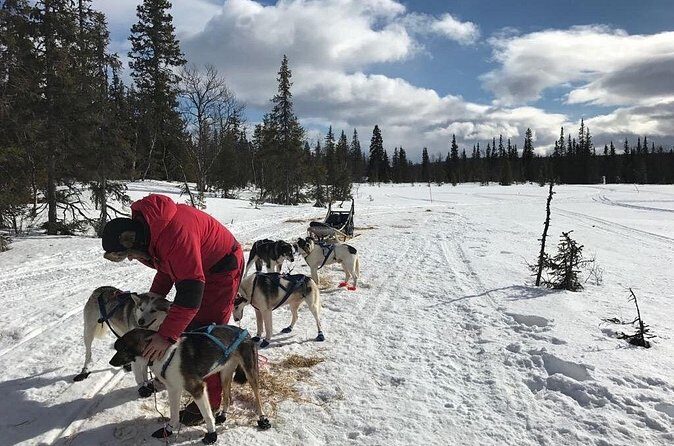 Dogsledding in the Heart of Alaska - Weather rules: why “good weather” matters to your schedule