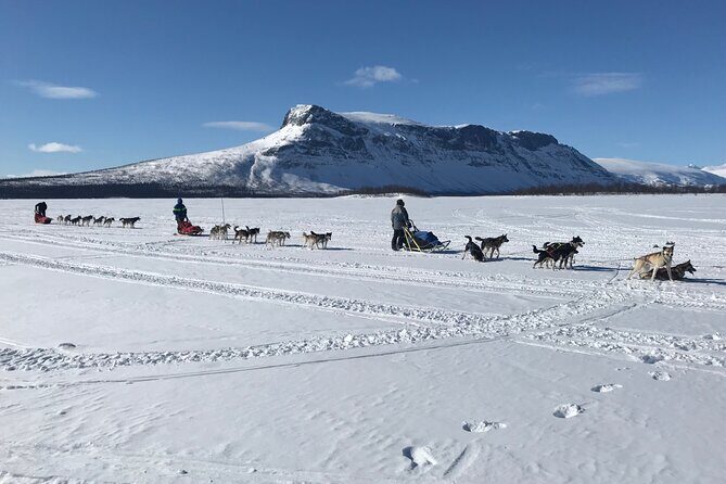 Dogsledding in the Heart of Alaska - Getting cold-weather ready without the shopping trip