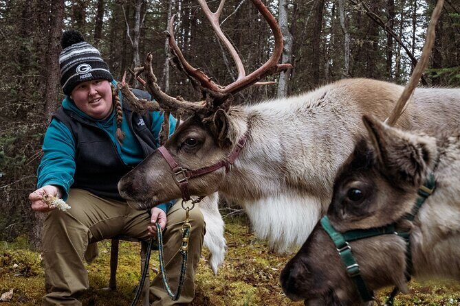 Private Alaskan Reindeer Encounter & Forest Walk - Where This Reindeer Encounter Starts in Fairbanks